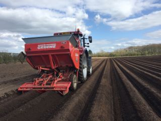 Spring Weather Kicks off Potato Planting 