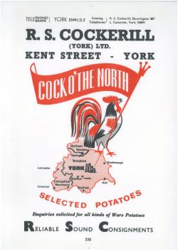 Original Artwork