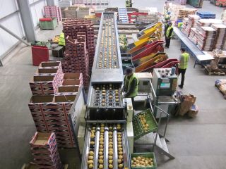 MAF weight grader for sale