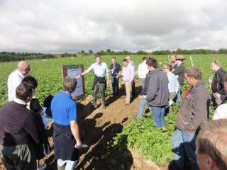 Practical Sessions on Cultivations and PCN