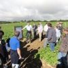 Practical Sessions on Cultivations and PCN 